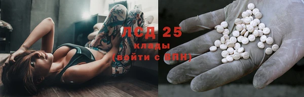 прущие крисы Алзамай