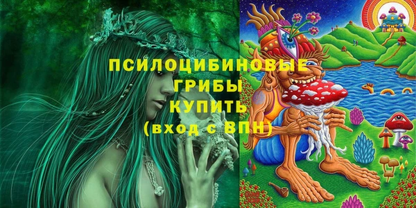 мескалин Алексин