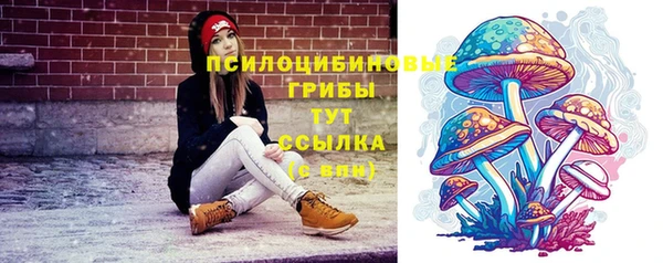 прущие крисы Алзамай