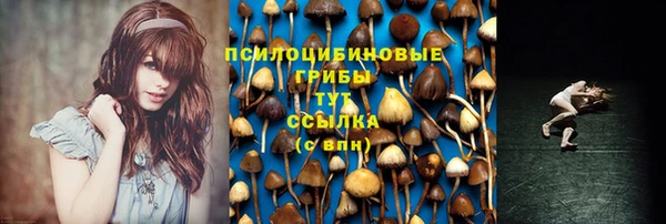 мескалин Алексин