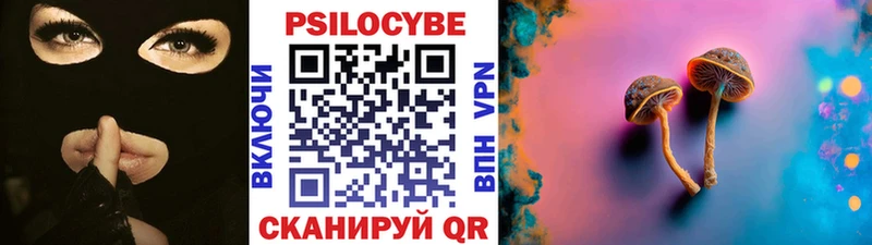 маркетплейс клад  Новоульяновск  Псилоцибиновые грибы Psilocybe  наркотики 